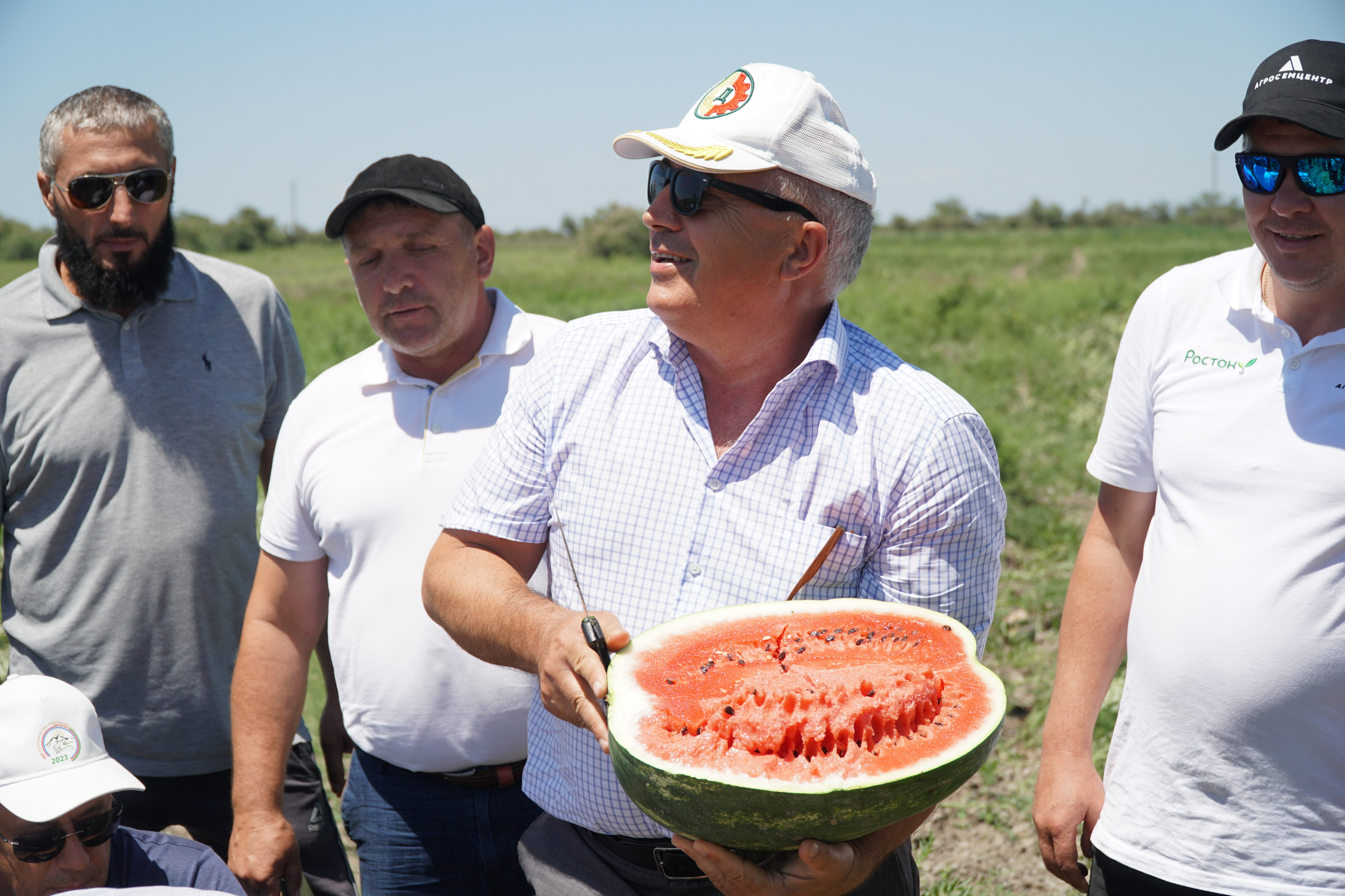 Впервые в условиях Дагестана начали выращивать арбуз с использованием привитой рассады