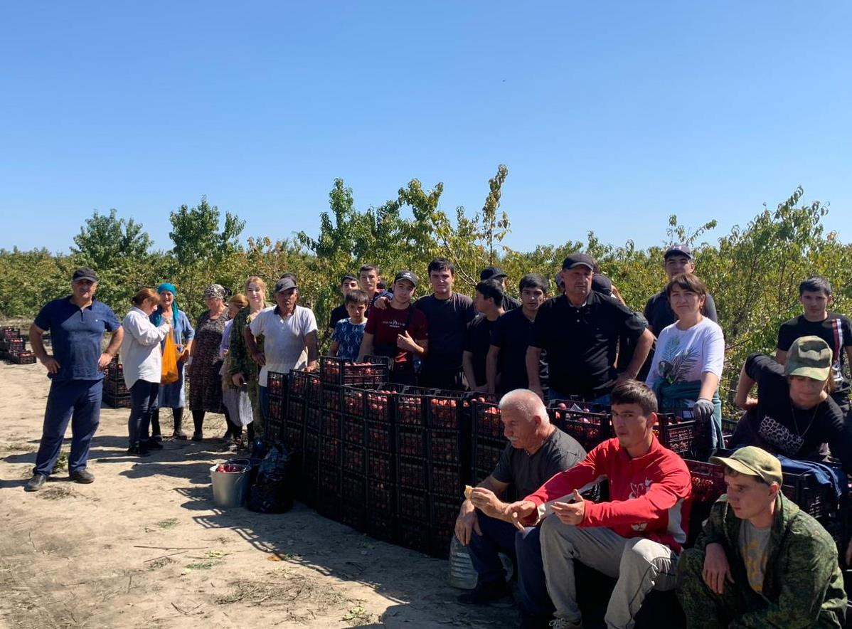 Студенты аграрного колледжа поддержали инициативу председателя Правительства Дагестана