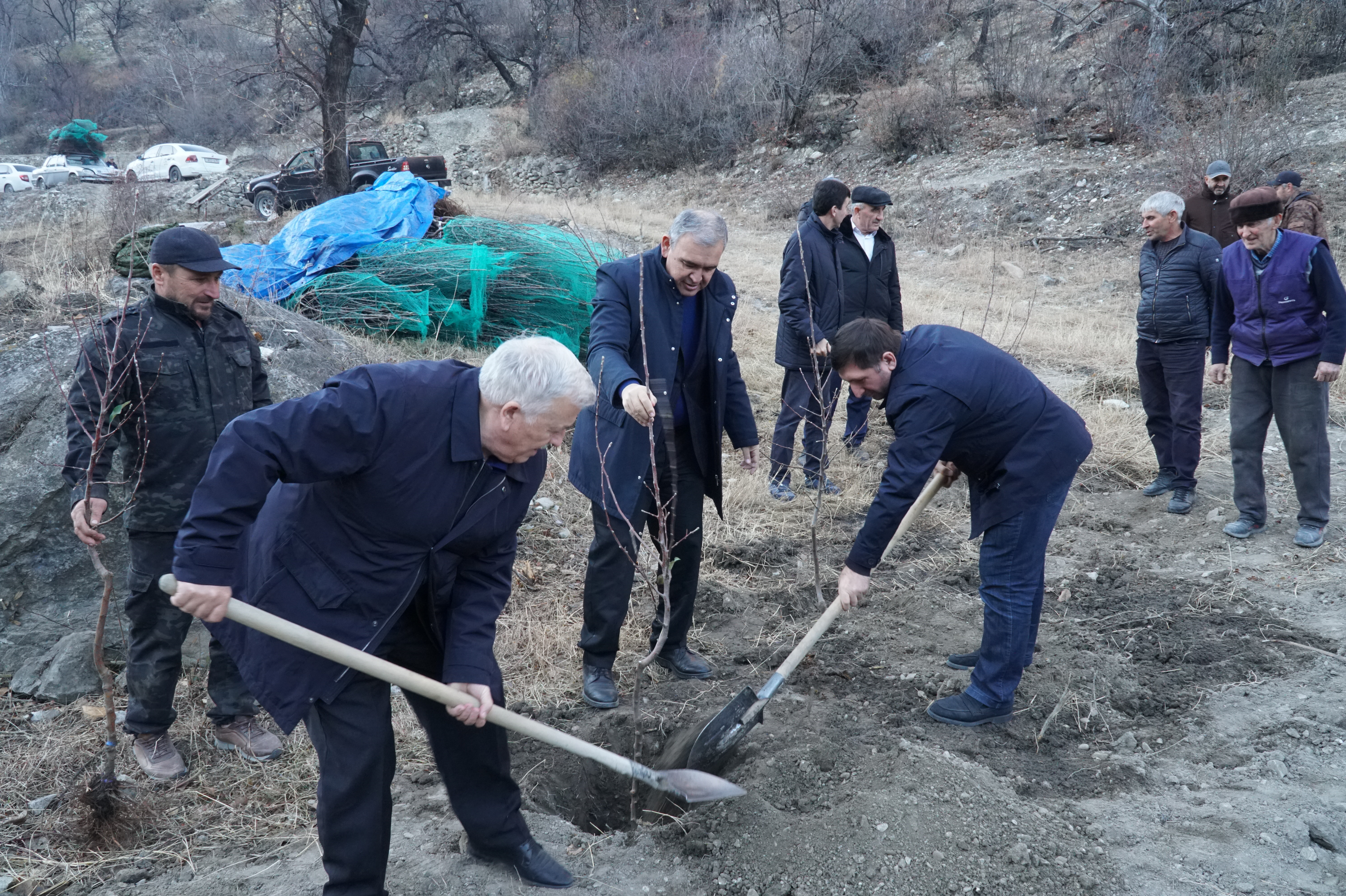Гумбетовский район активно развивает горно-долинное садоводство