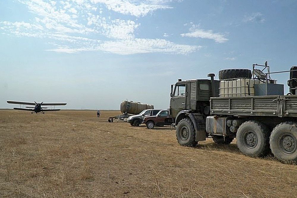 В Дагестане против саранчи обработана 21 тысяча гектаров