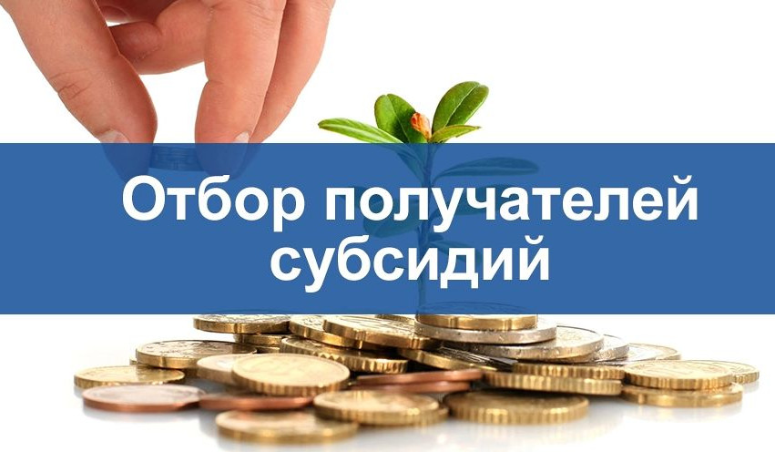 Прием документов на предоставление субсидии на поддержку картофеля и овощей открытого грунта