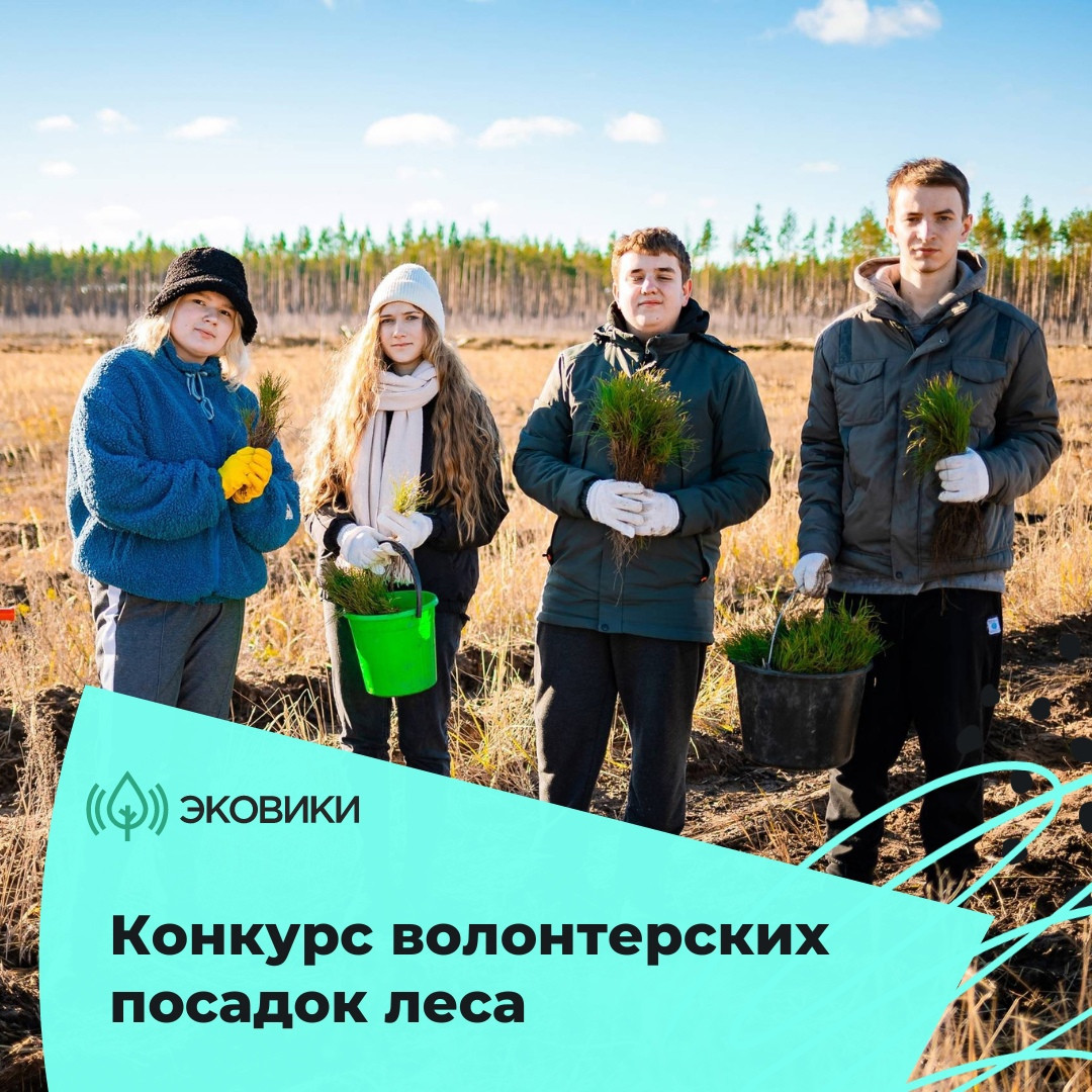 Волонтеры и экологисты в регионах могут получить премию за помощь в восстановлении лесов