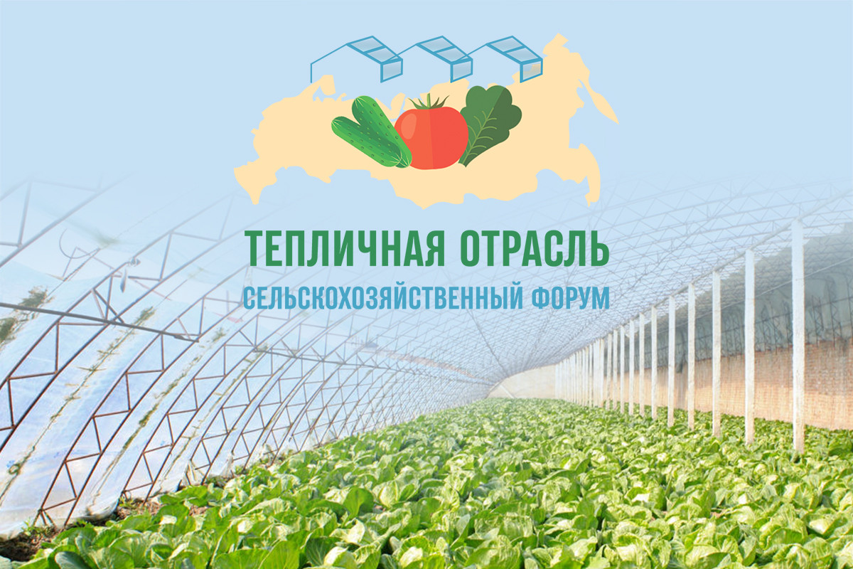 В Сочи состоится IV всероссийский форум «Тепличная отрасль России - 2023»