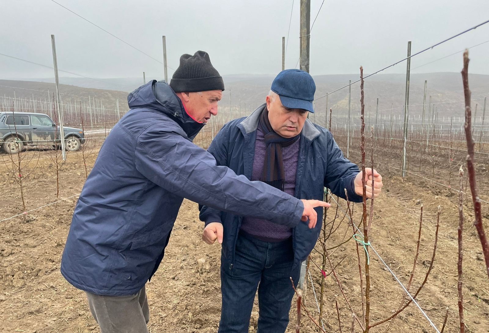 Потенциал садоводства Дагестана