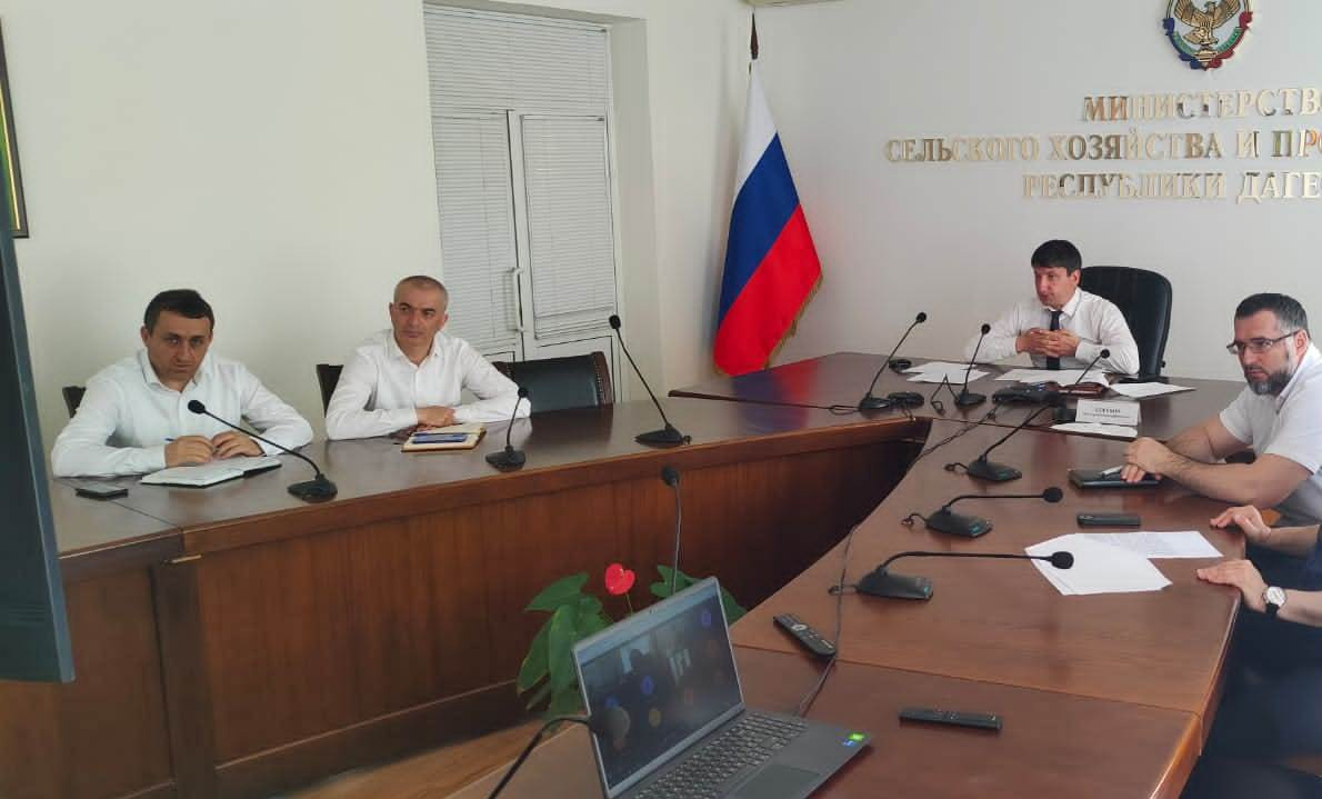 Представители Минсельхоза России и регионов обсудили вопросы комплексного развития сельских территорий