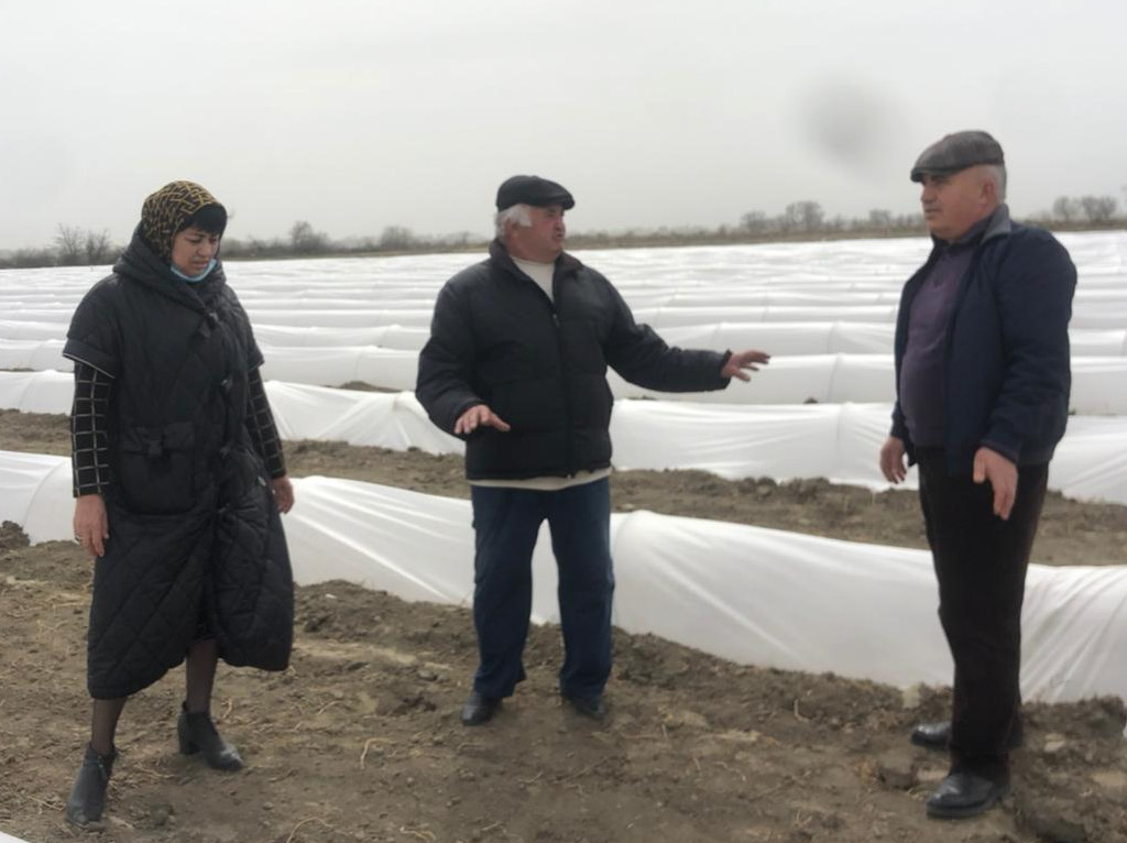 В Дагестане вовлекают в оборот неиспользуемые земли
