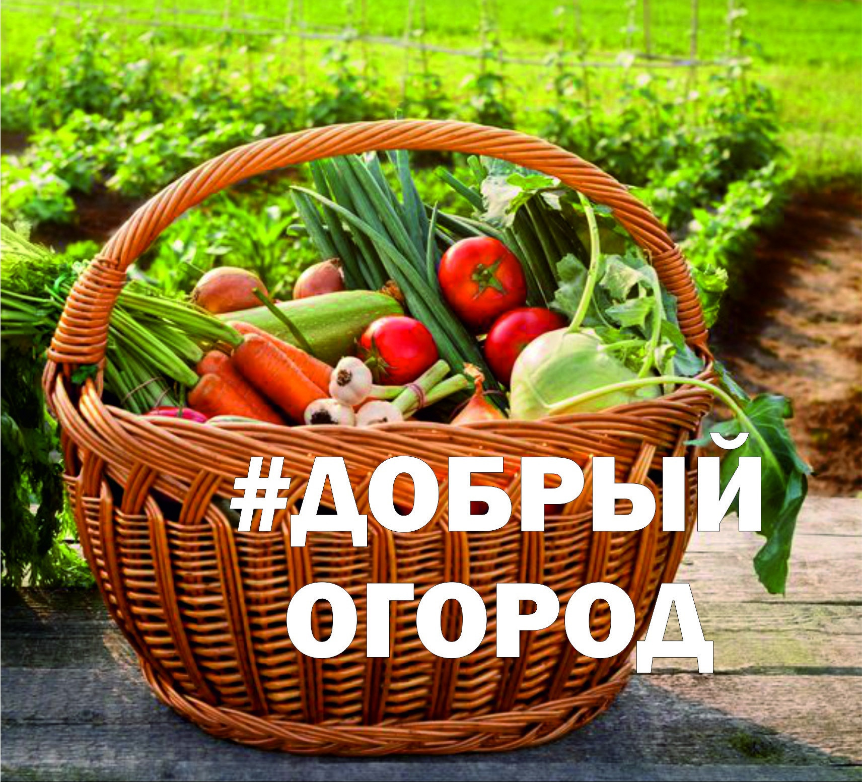 #ДОБРЫЙ ОГОРОД-2023: сезон открыт