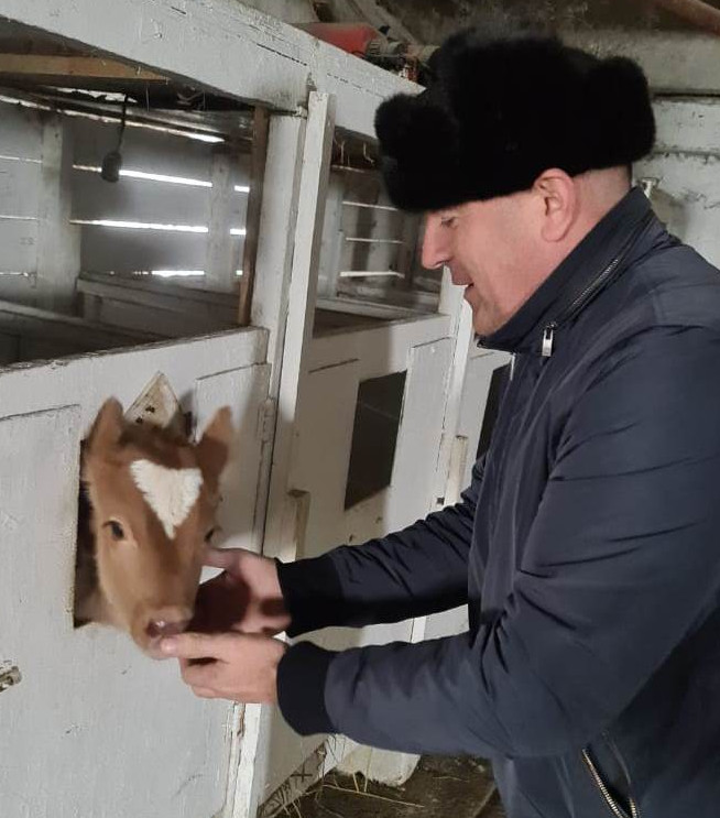 Господдержка по линии Минсельхозпрода Дагестана позволяет активно развиваться животноводческому предприятию в Кизлярском районе