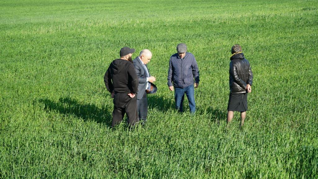 Рисоводы Дагестана готовятся к посевной кампании