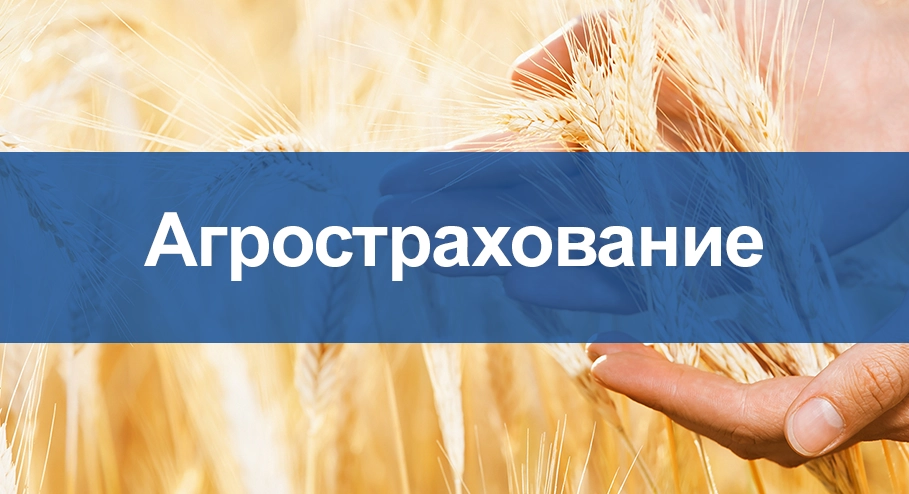 Горы